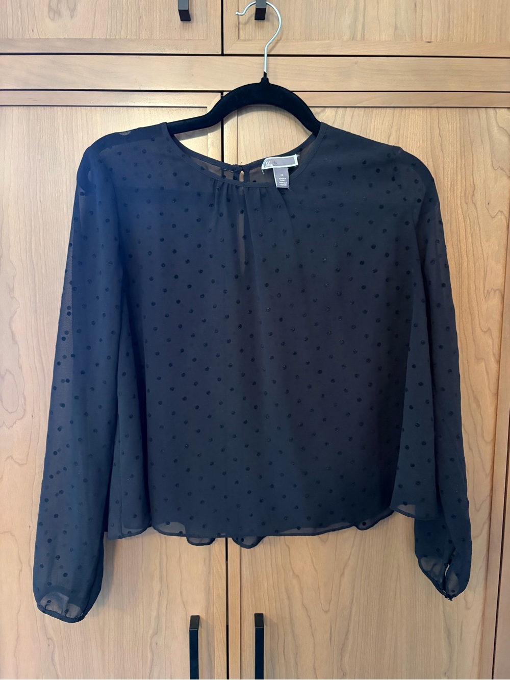 Chelsea28 Black Sheer Polka Dot Long-Sleeve Blouse